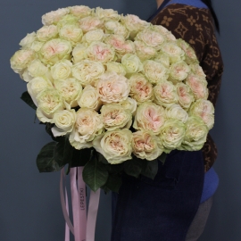 51 светло-розовая пионовидная роза Эквадор