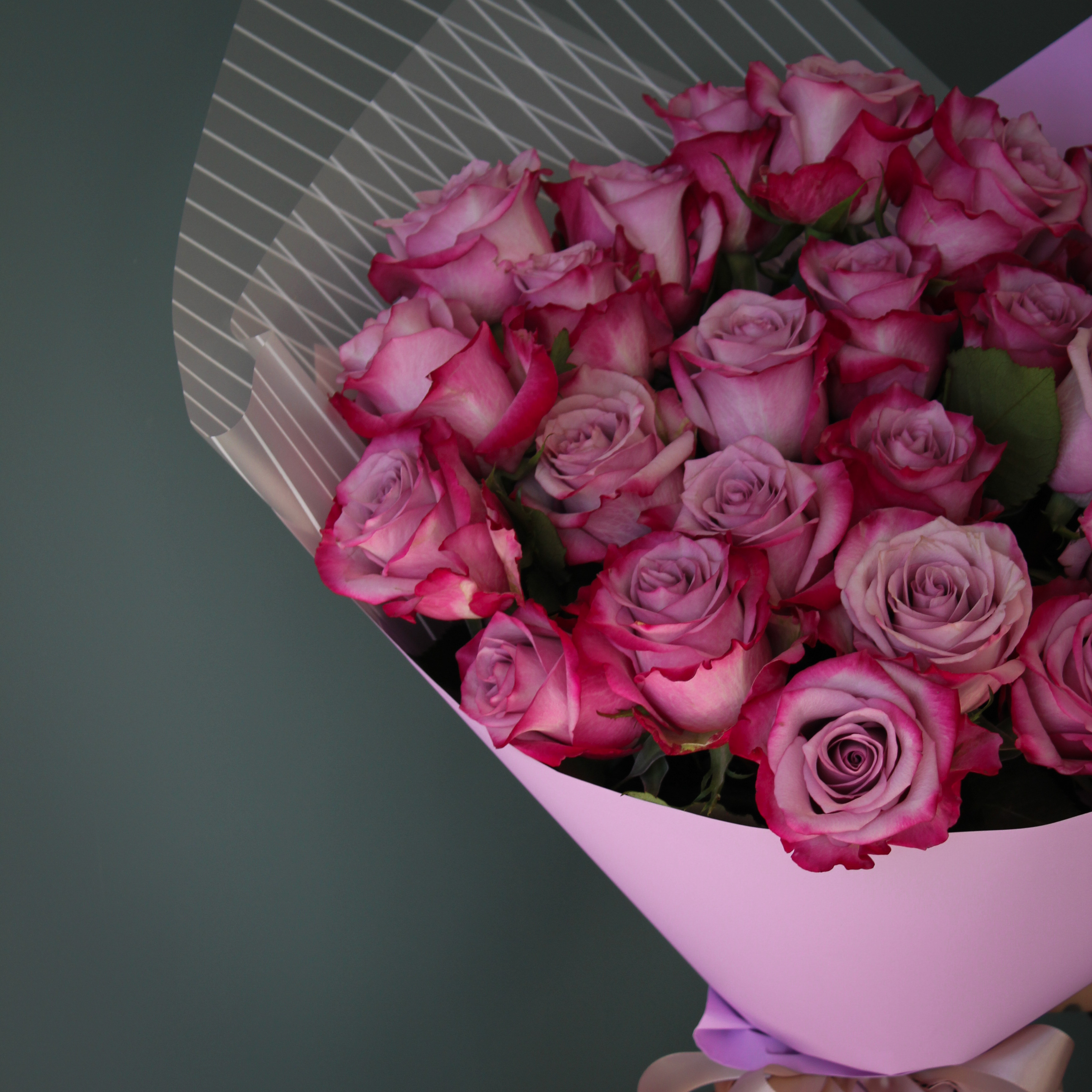 25 фиолетовых роз