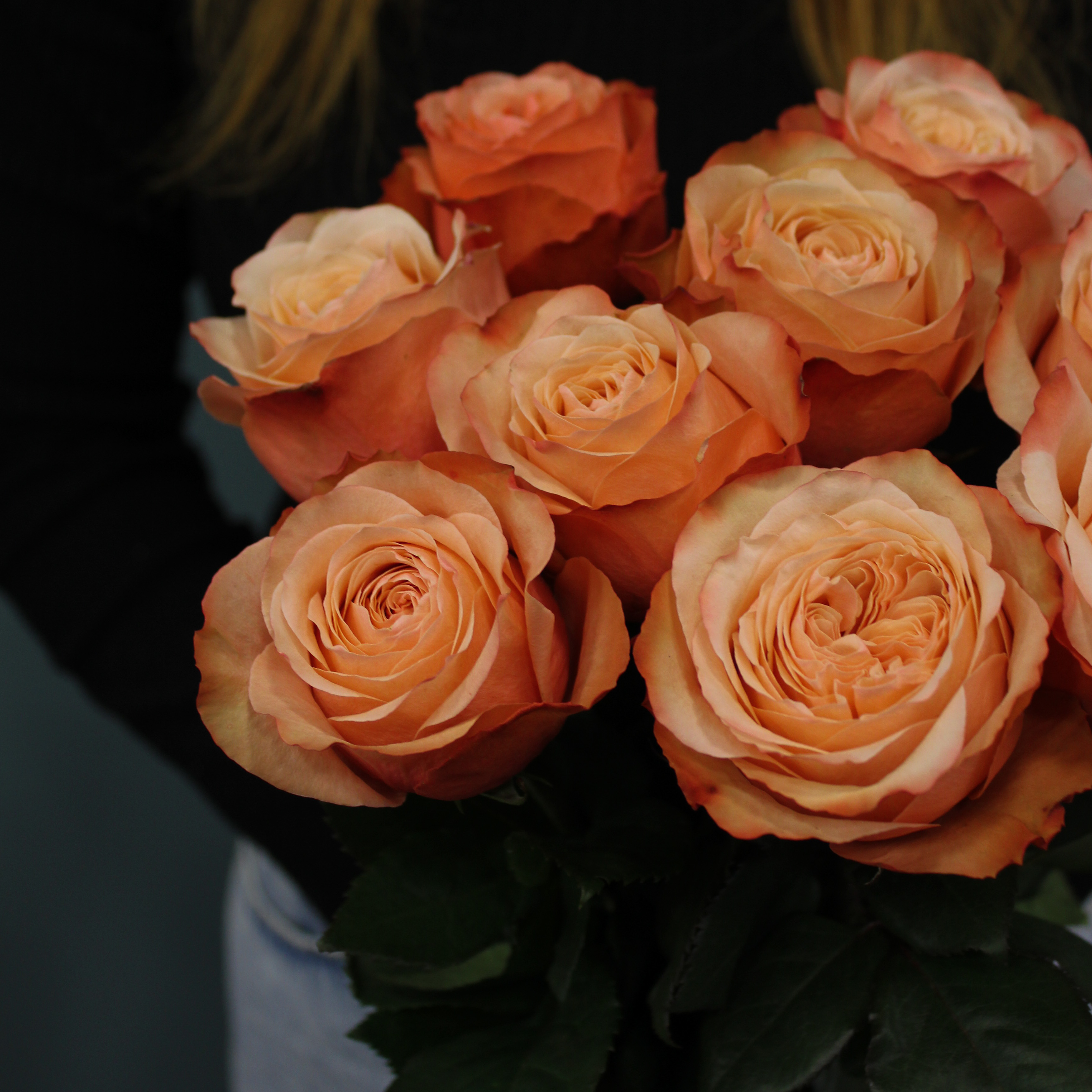 9 пионовидных персиковых роз Эквадор