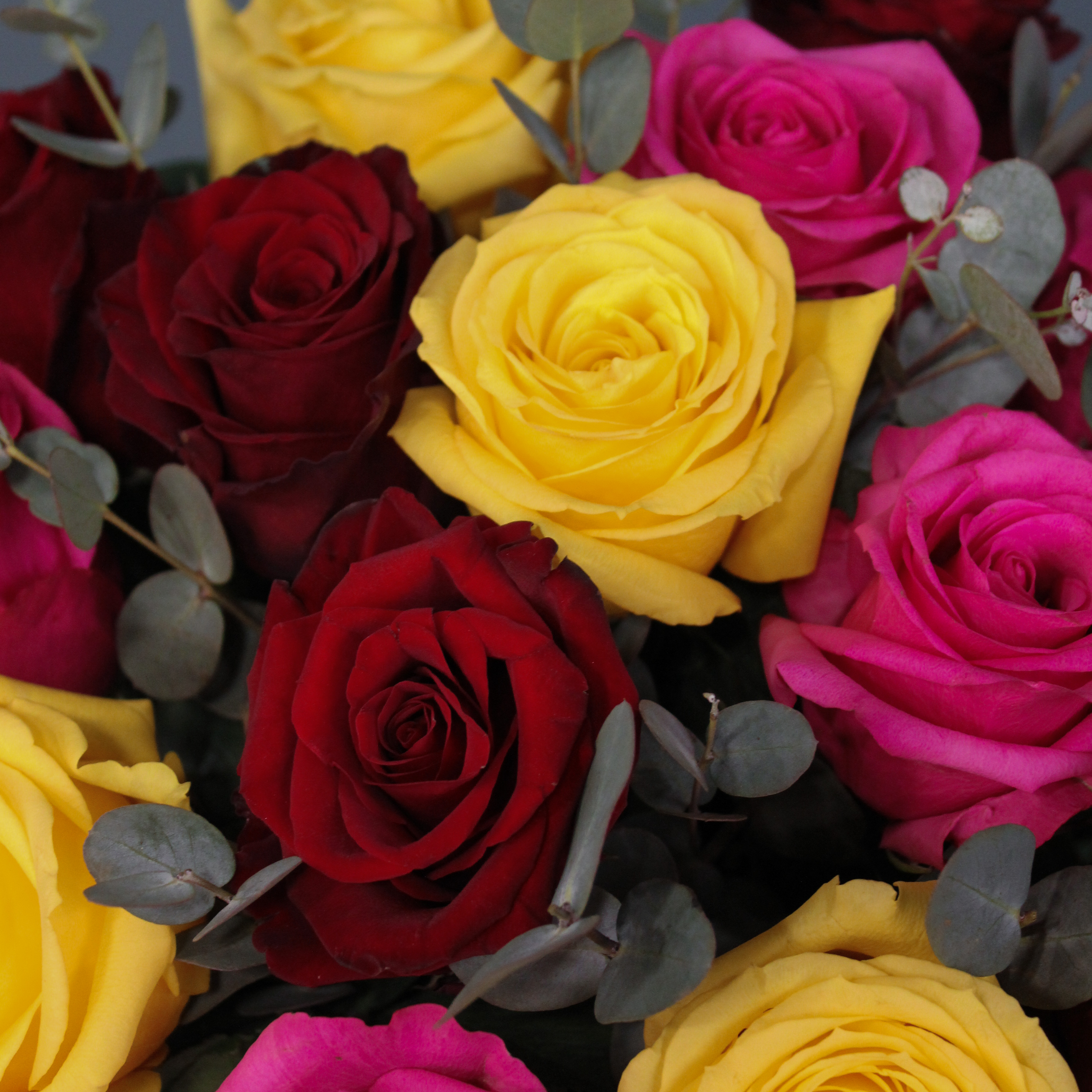 Бокс из 15 разноцветных роз