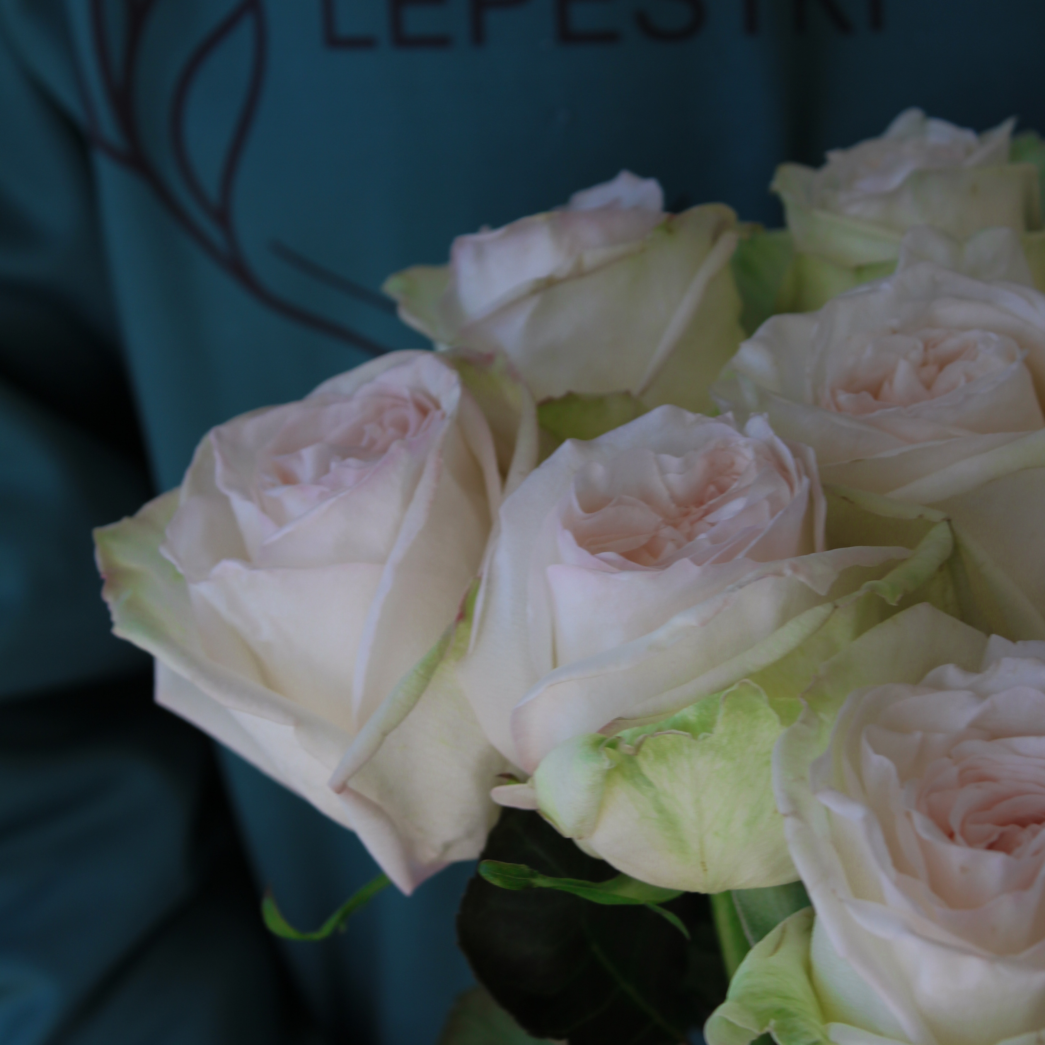 9 пионовидных роз "White O'hara" Эквадор