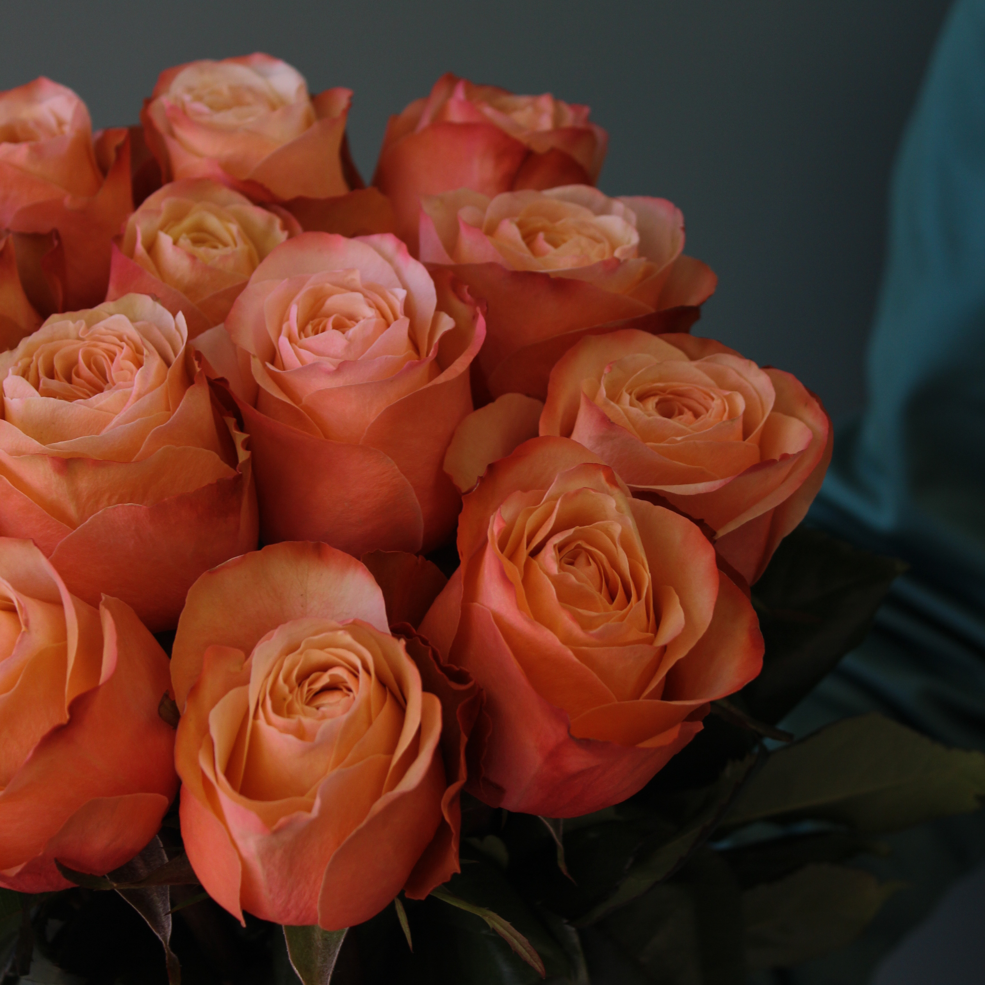 15 пионовидных роз "Kahala" Эквадор