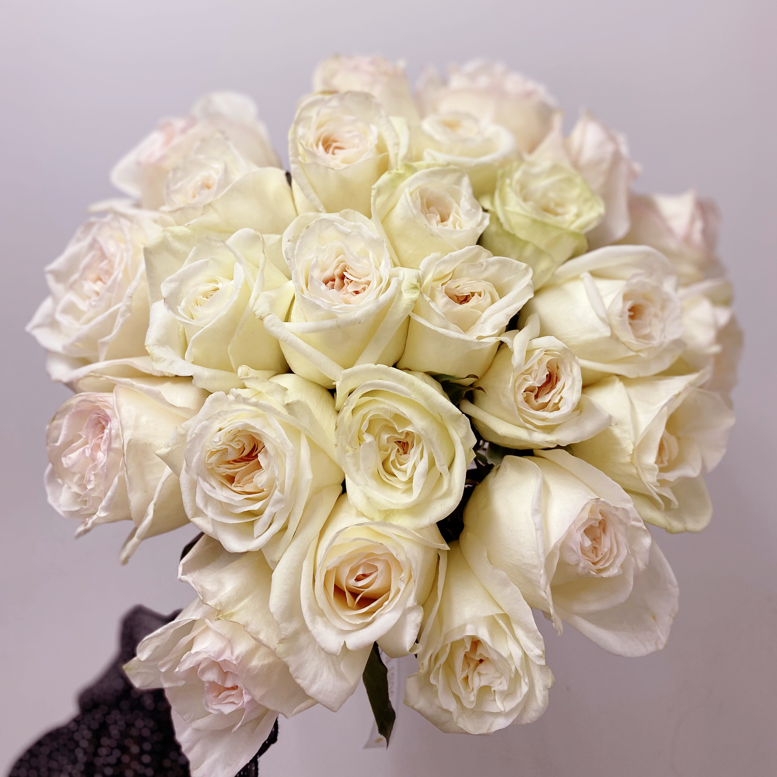 25 пионовидных белых роз Эквадор