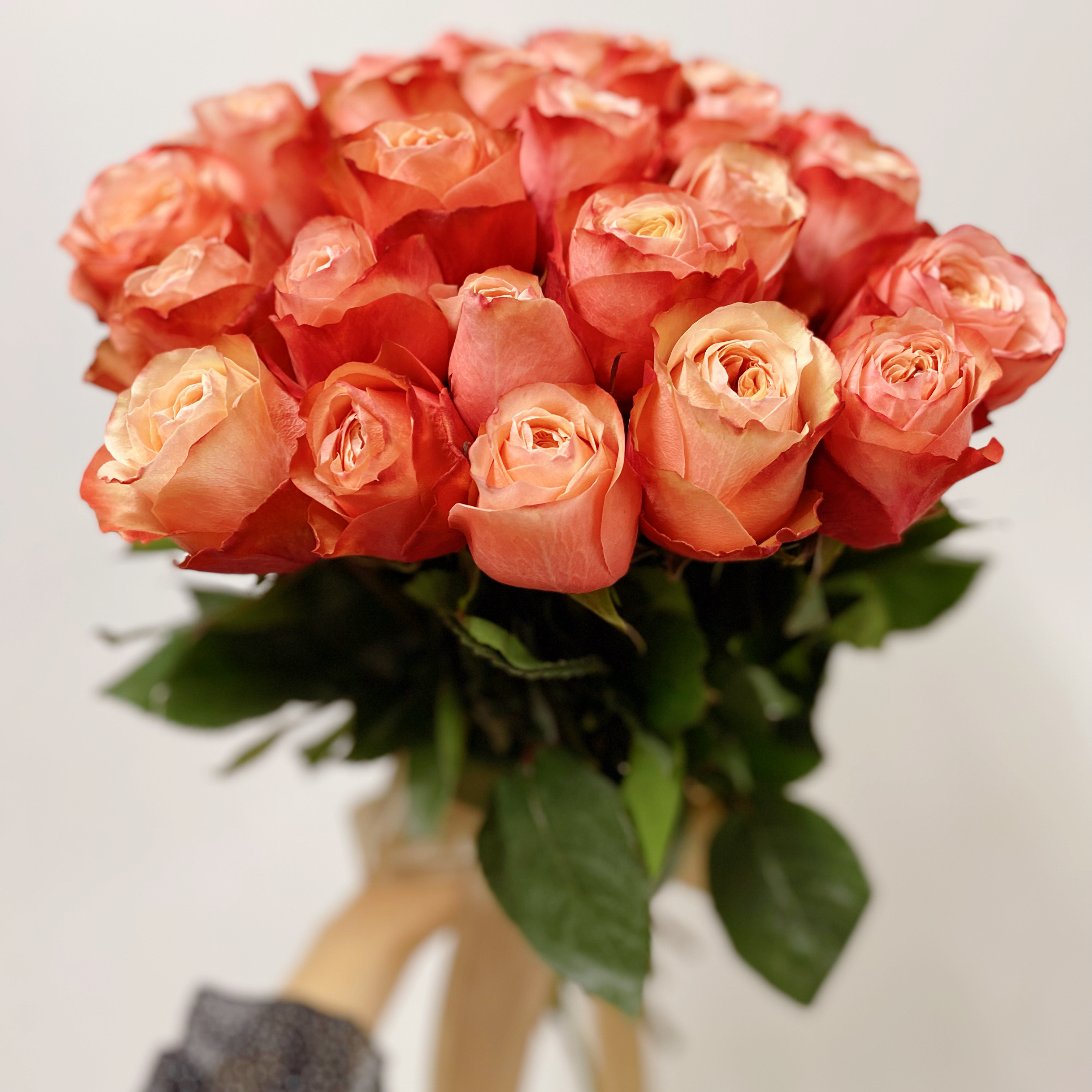 25 пионовидных персиковых роз Эквадор