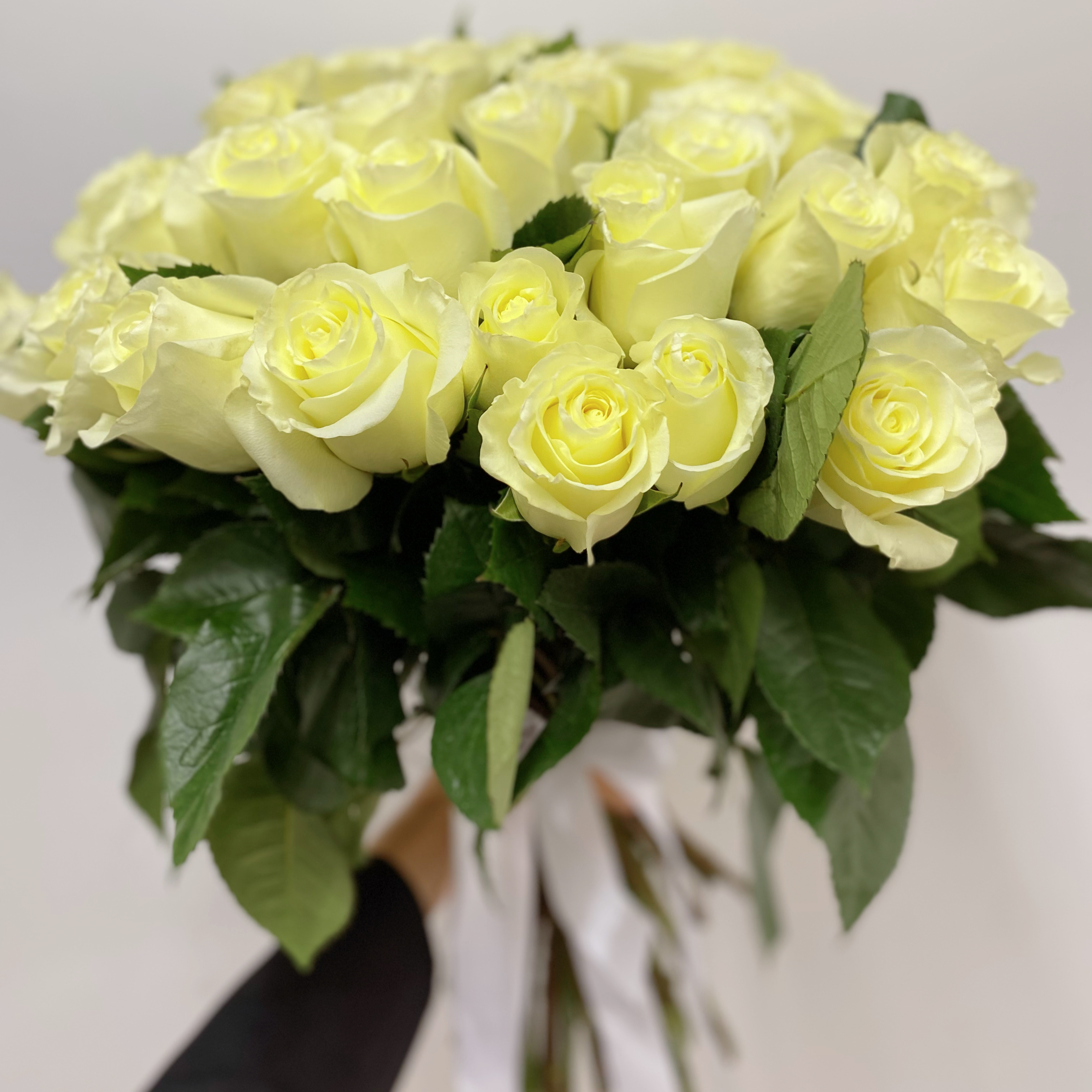51 белая роза Эквадор